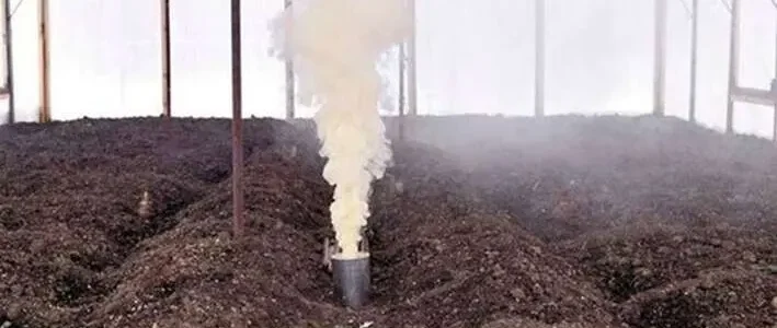 Őszi nagytakarítás a fóliasátrakban – „Indítsunk tiszta lappal!”