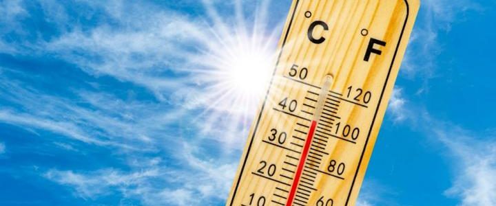 A növényvédelem helyes alkalmazása a zöldségféléknél: szakmai alapelvek és gyakori hibák (1.)